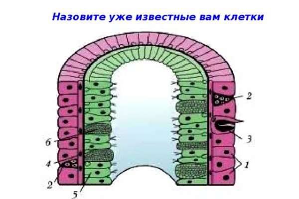 Кракен даркнет рабочая ссылка