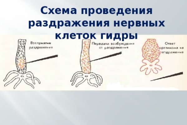 Как зарегистрироваться на кракене