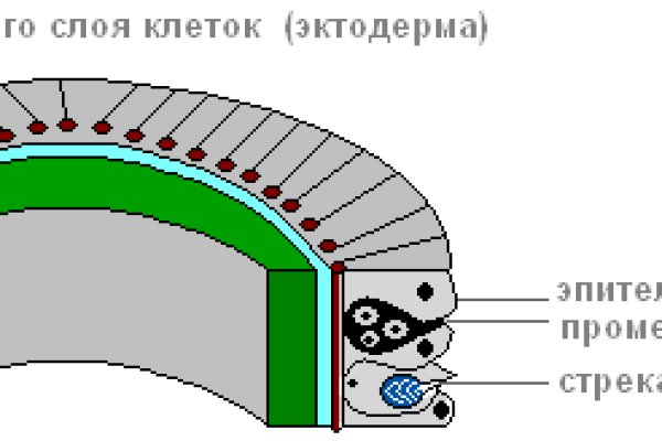 Поддержка кракен шоп