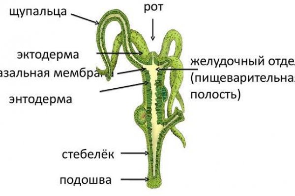 Kra27.at