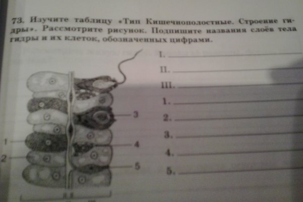 Кракен сс