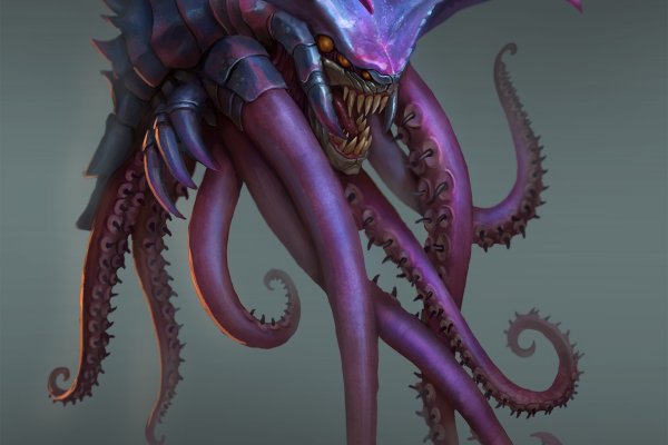 Kraken 11at