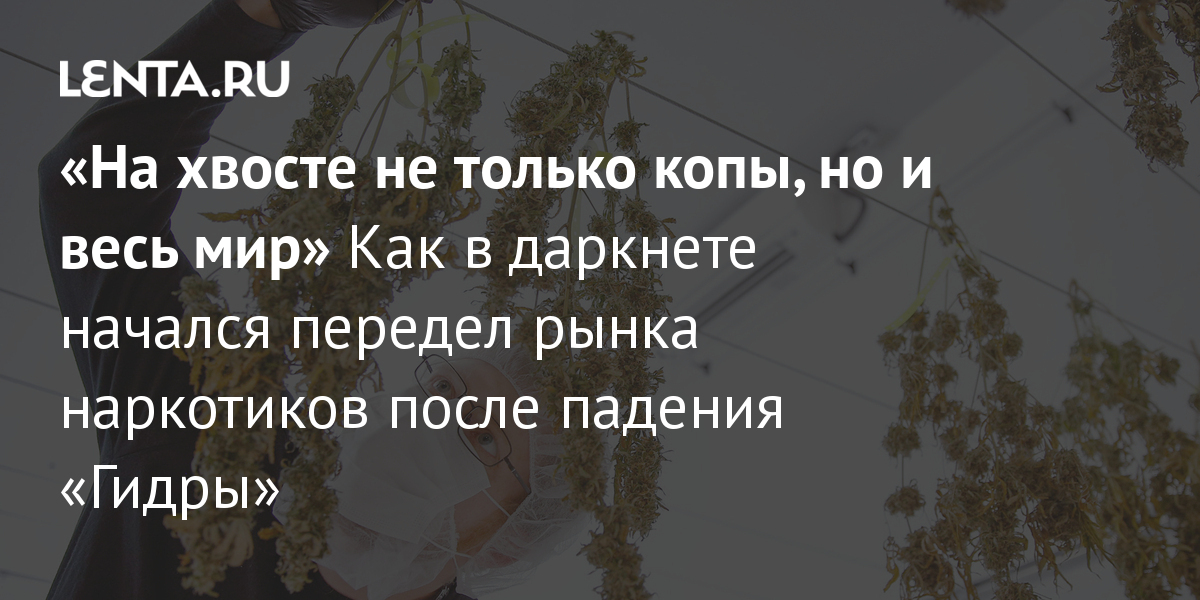 Как восстановить аккаунт на кракене
