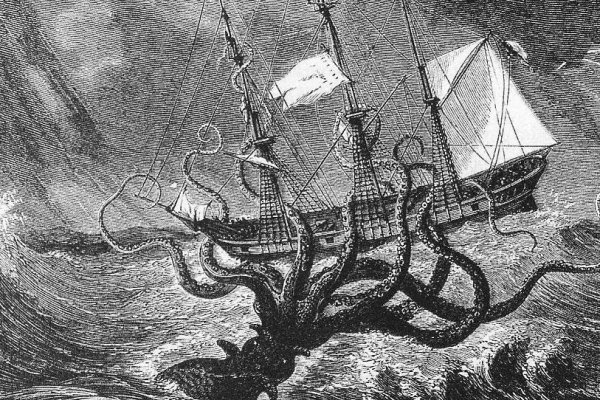 Kraken 6 at